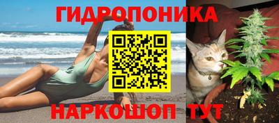 дистиллят марихуана Заводоуковск