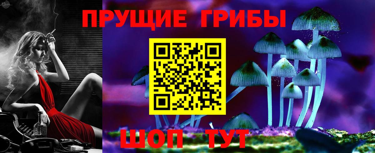 Екатеринбург  Галлюциногенные грибы Psilocybine cubensis  Вход с VPN 